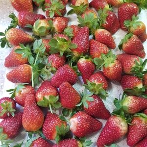 Meet your Posher, Stacey